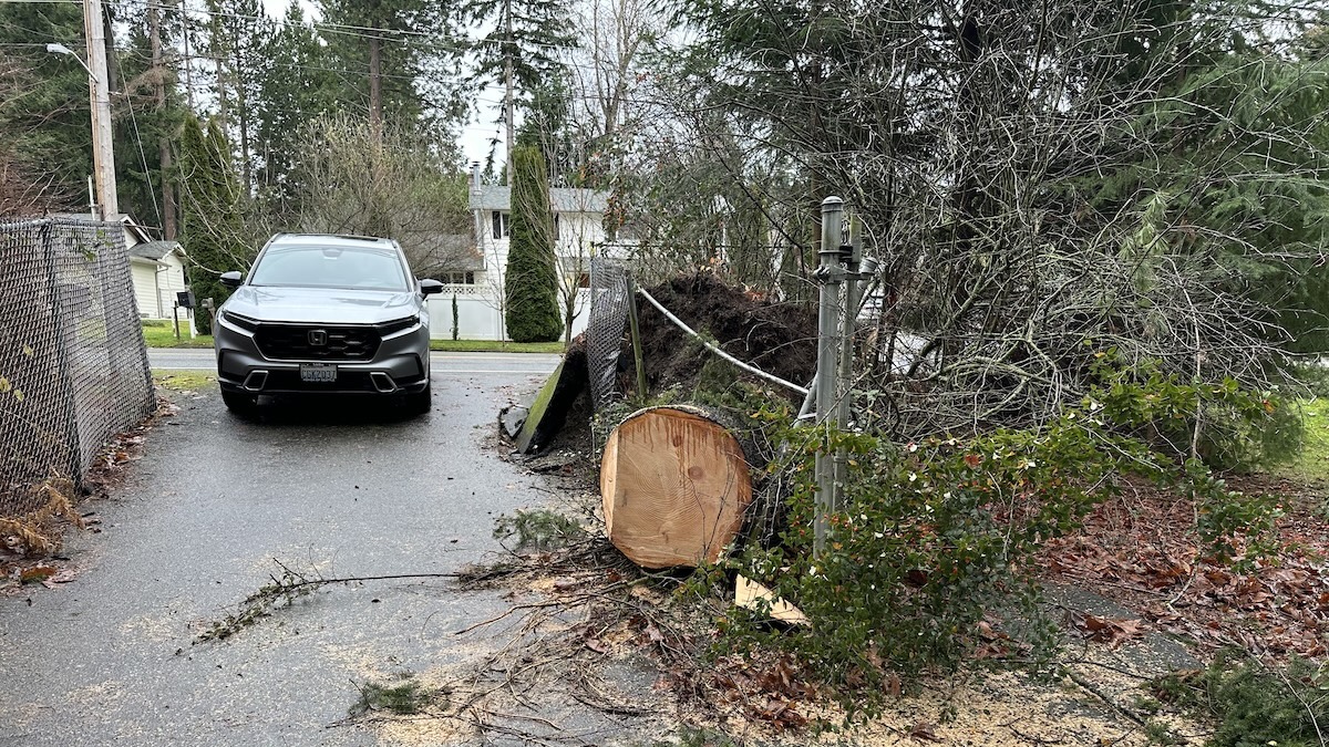 Tree Trunk That Crushed A Driveway Gate And Blocked The Driveway For Nearly A Week